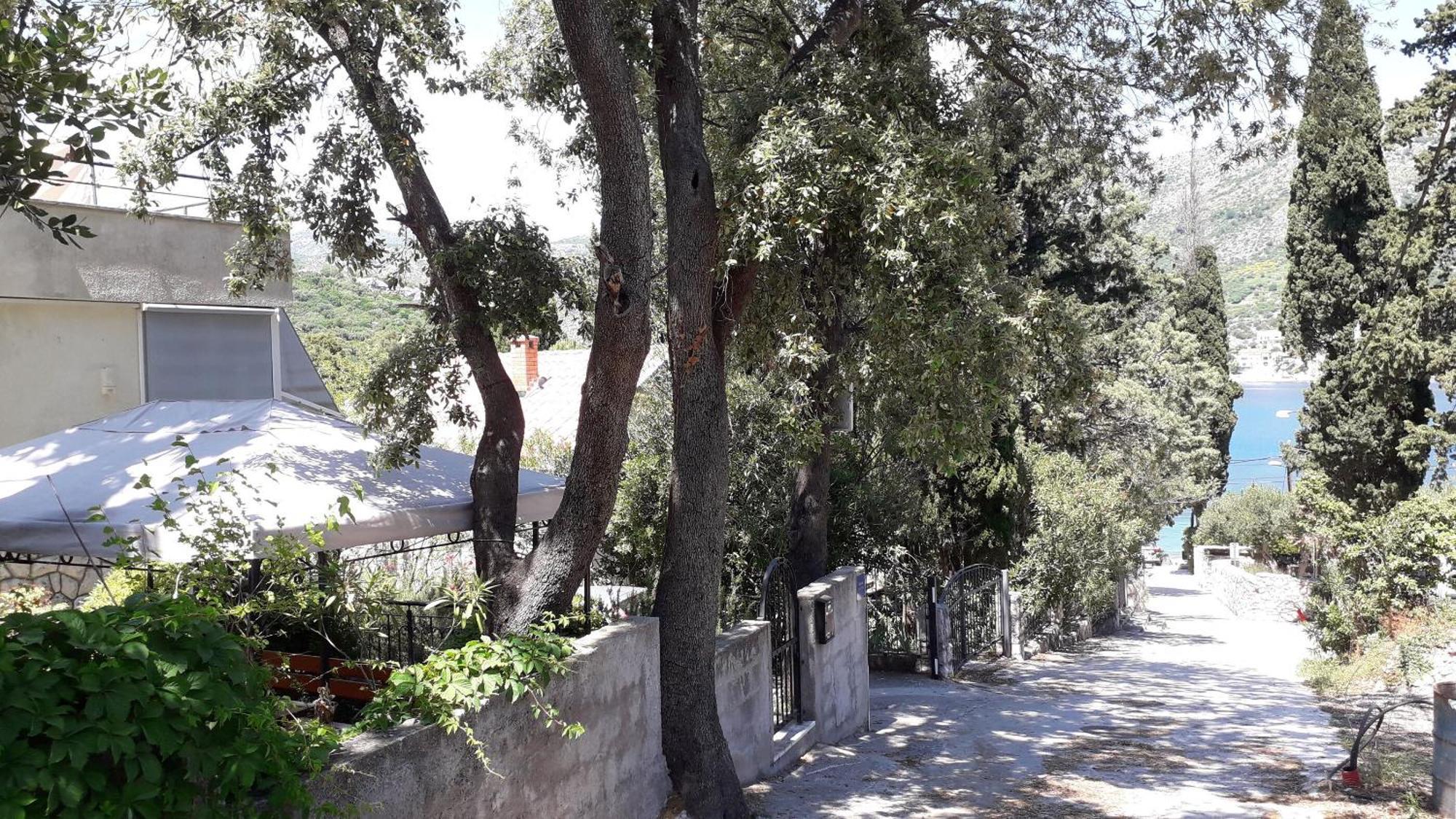 Apartments Marija - 50M From Beach Zaton  Dış mekan fotoğraf