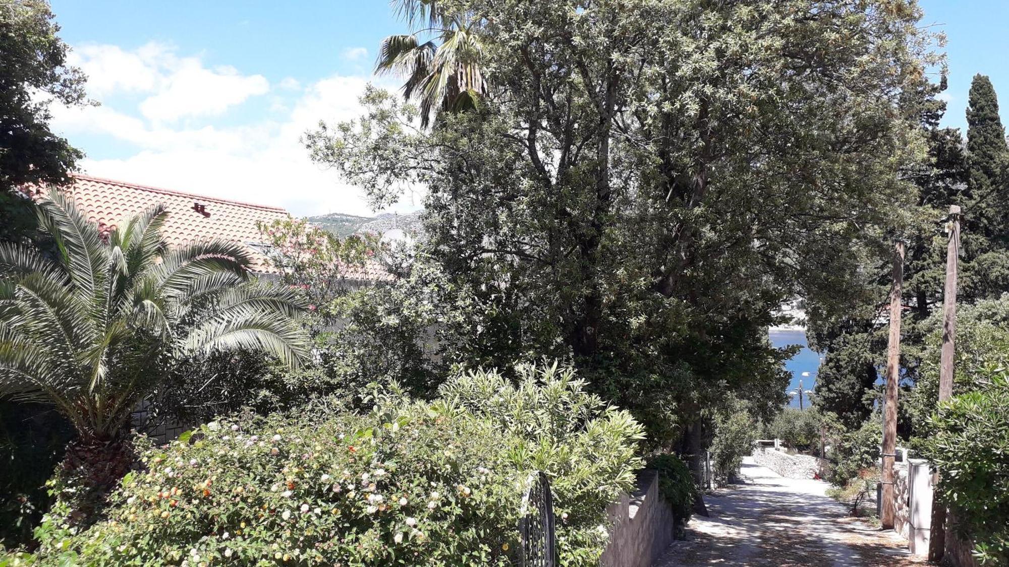 Apartments Marija - 50M From Beach Zaton  Dış mekan fotoğraf